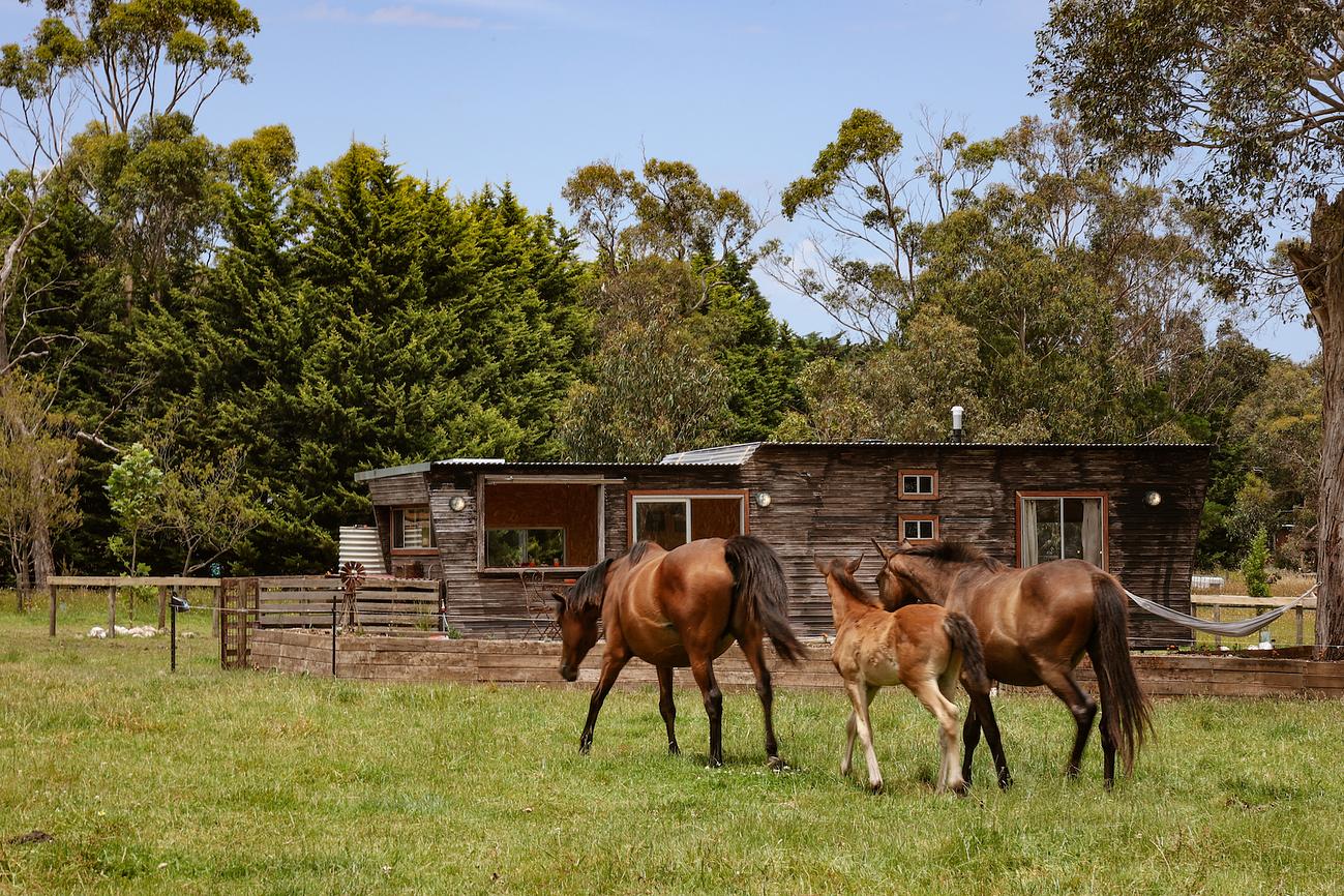 Farm Stays Near Brisbane Discover the top 10 farm stays