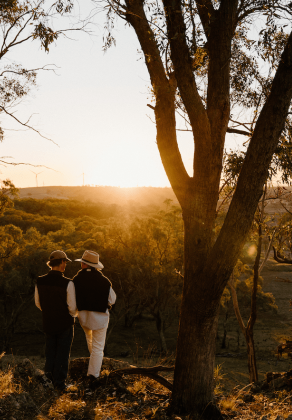 Luxury Glamping NSW