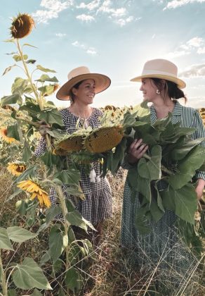 Sunflower Fields Liverpool Plains