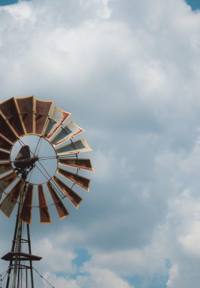 Farm Stay in QLD